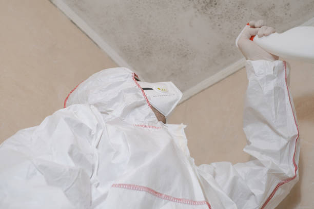 Crawl Space Mold Removal in Lakeview, NY