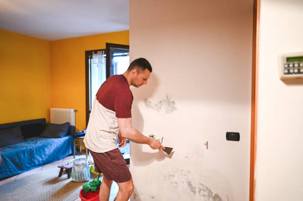Best Professional Mold Removal  in Lakeview, NY